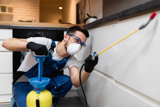 Reliable Channel Lake, IL Pest Control Solutions