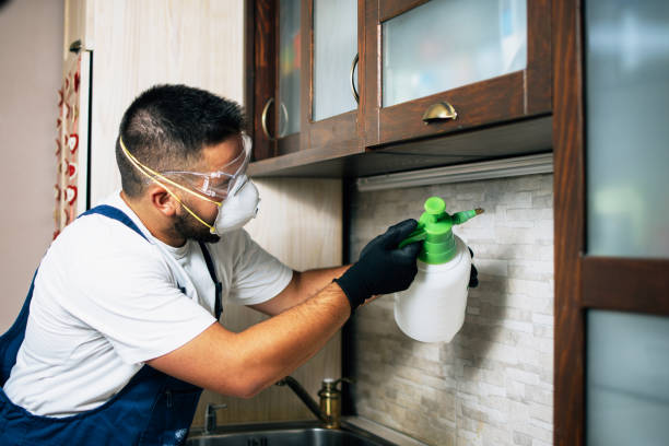 Best Pest Control for Homes  in Channel Lake, IL