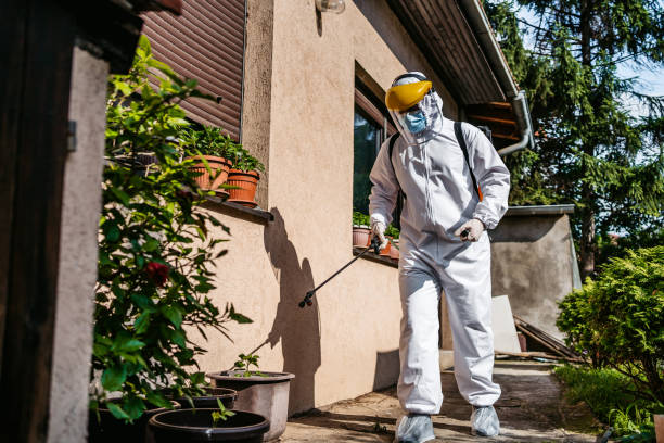 Best Emergency Pest Control  in Channel Lake, IL