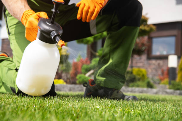 Best Exterminator Services  in Channel Lake, IL
