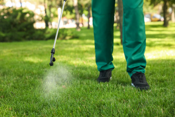 Best Insect Control  in Channel Lake, IL