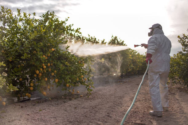 Best Pest Control for Businesses  in Channel Lake, IL